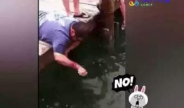 眼镜哥爆料山炮视频,山炮视频背后的惊人真相